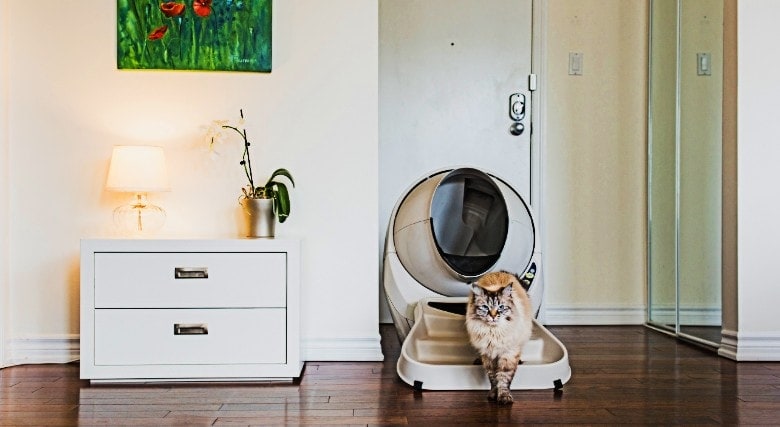 image of a cat coming out of the futuristic litter robot litter box