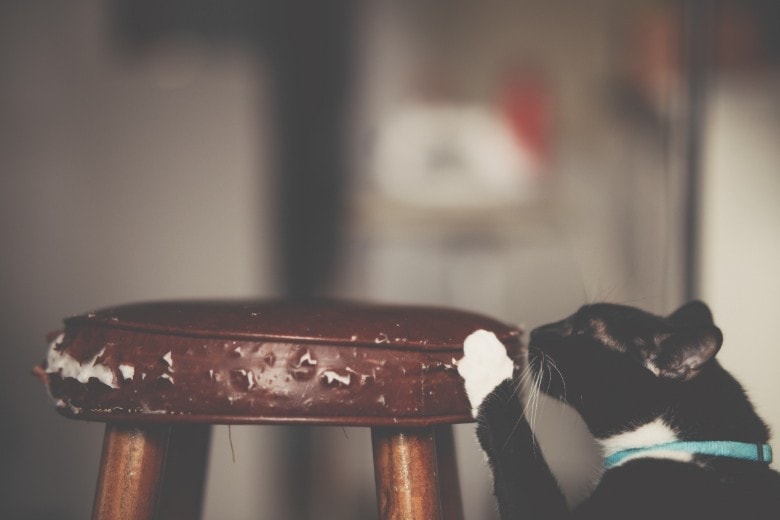 Image of a cat scratching furniture with sharp nails