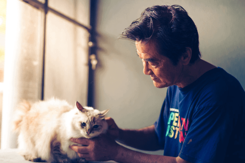 Caring for a pregnant cat