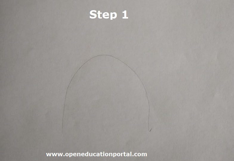 how-to-draw kidney-step1