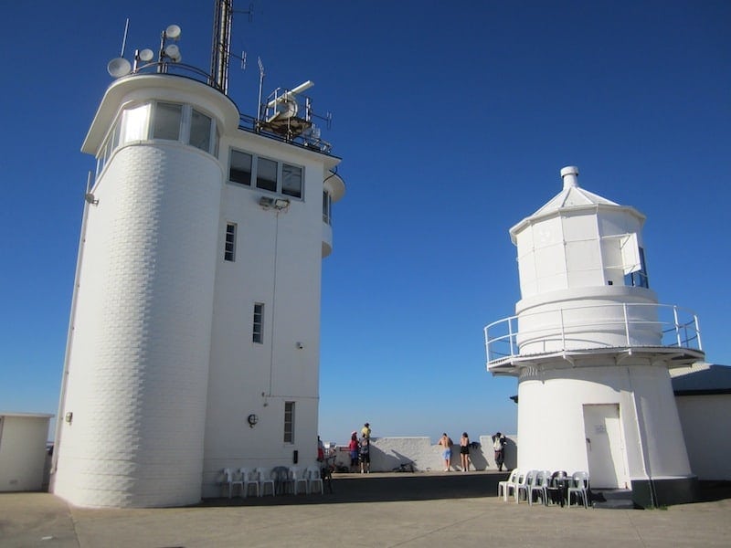 free things to do in newcastle nsw