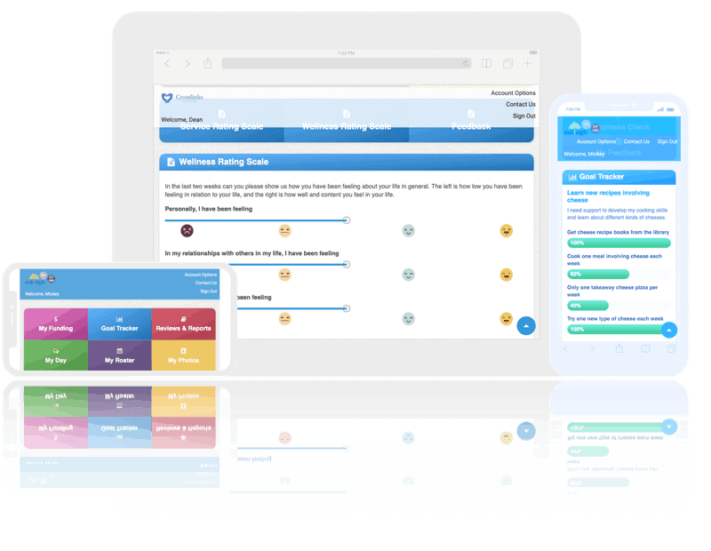 flowpoint ndis mobile iPad iPhone goals small screens