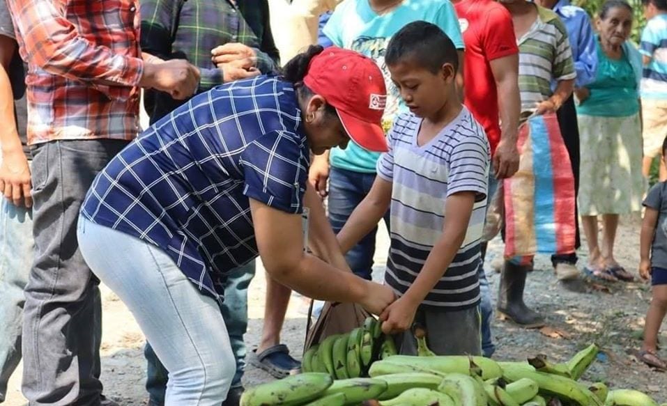 Reparto de bananas el Izabal