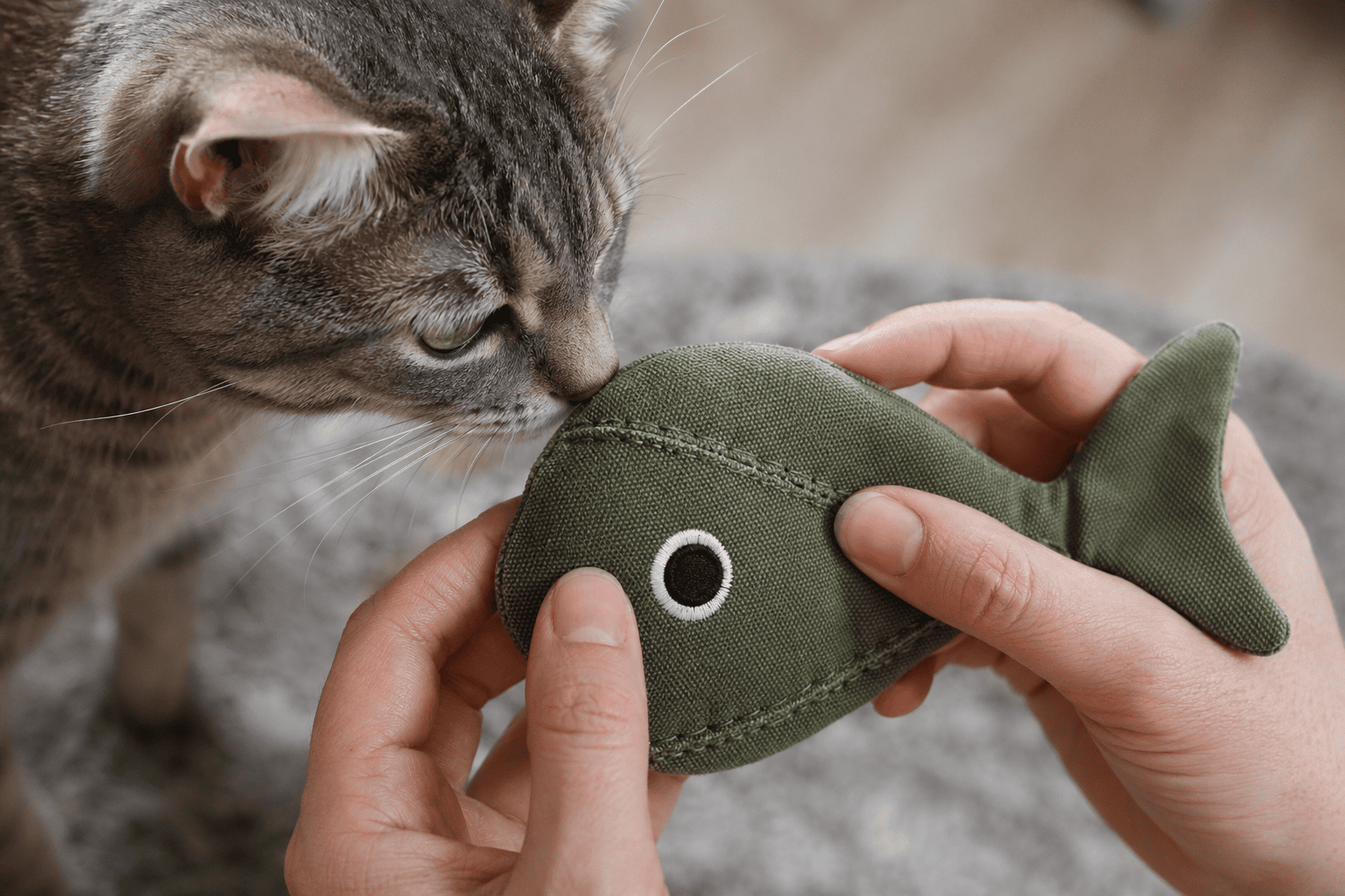 Hands inspecting a cat toy for loose seams near a curious cat