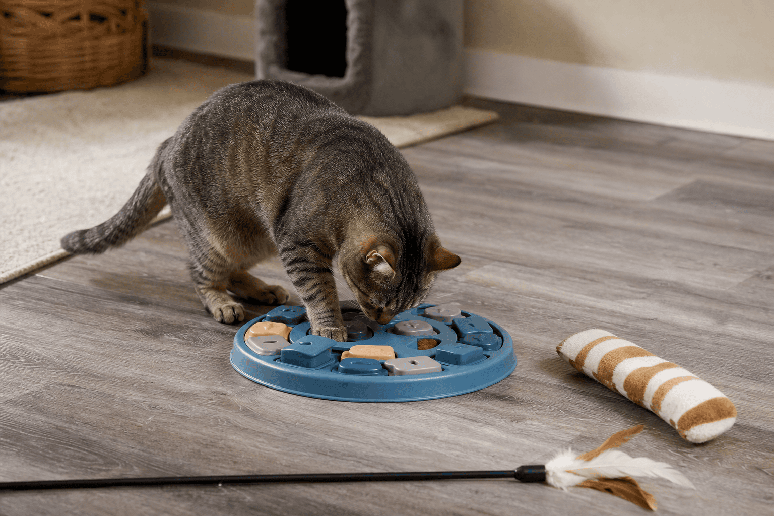 Indoor cat using a puzzle feeder after active play