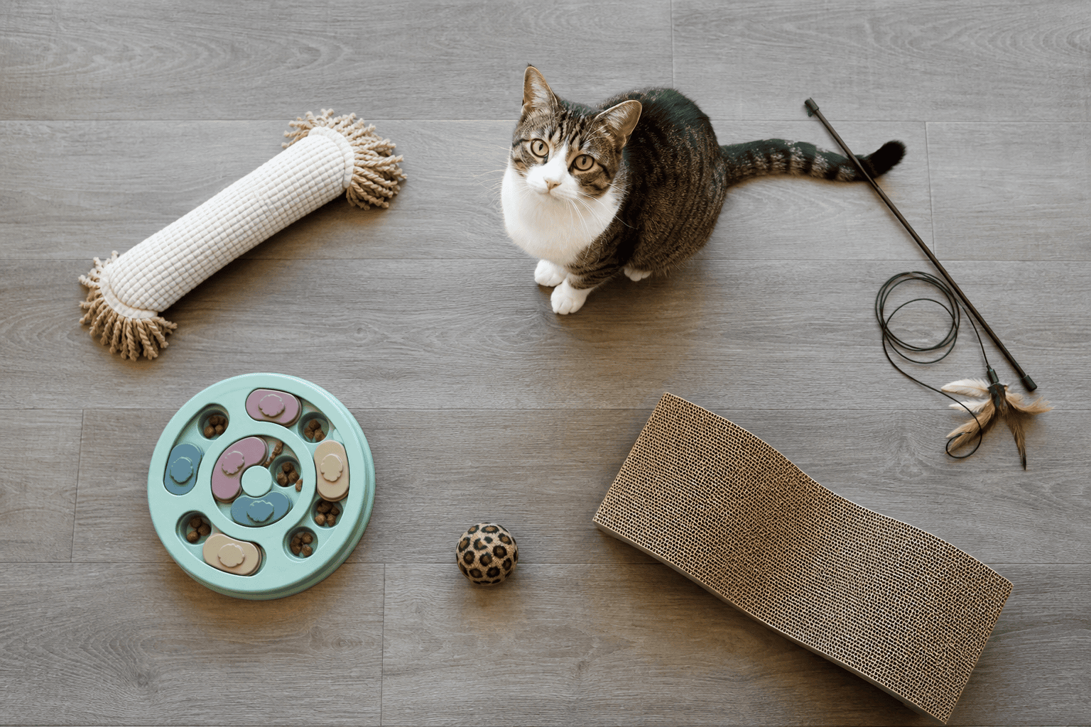 A balanced rotation of wand, kicker, puzzle, chase, and scratcher toys for a bored indoor cat