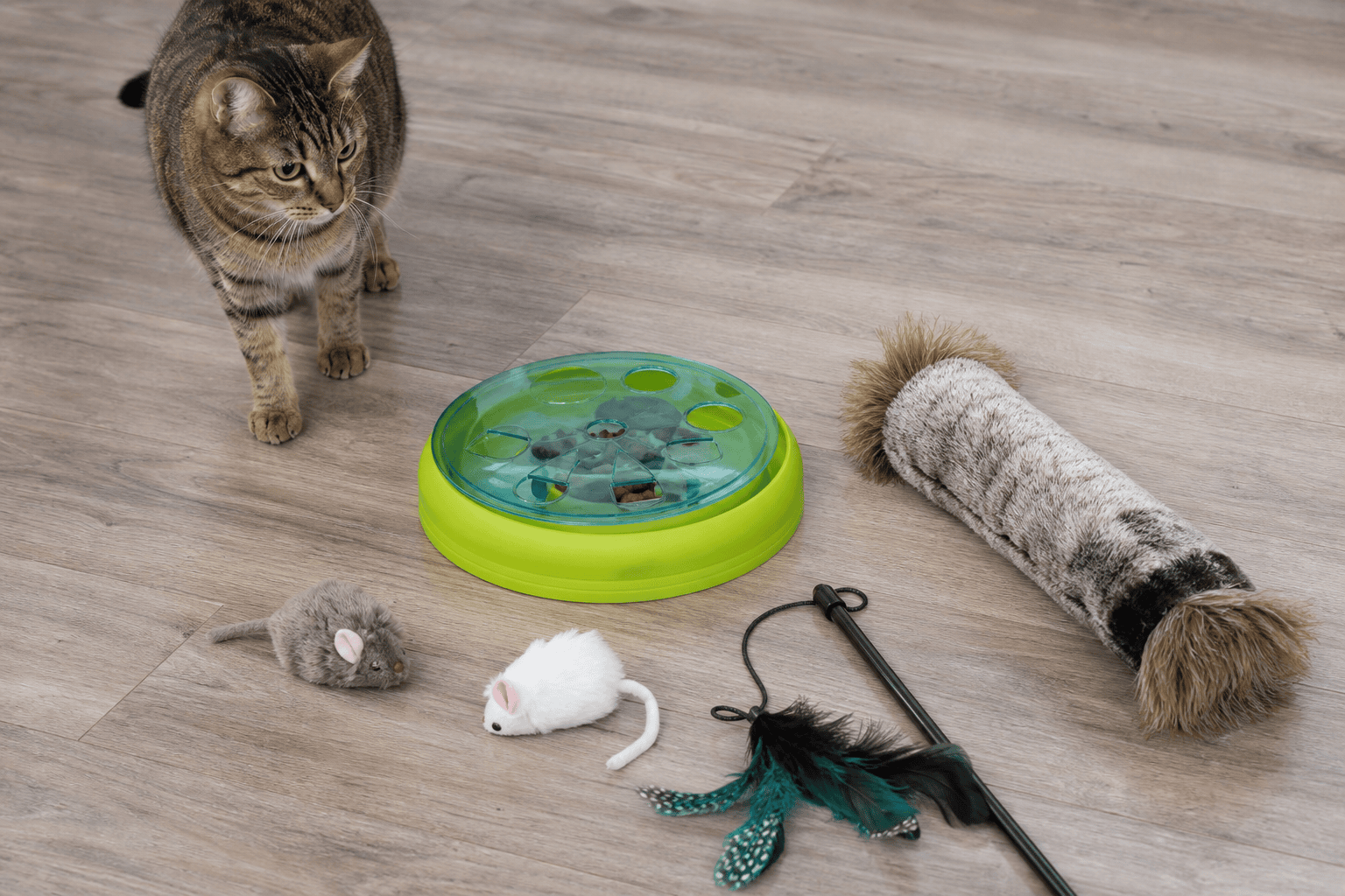 Hunting-style cat toys arranged for a weekly indoor toy rotation