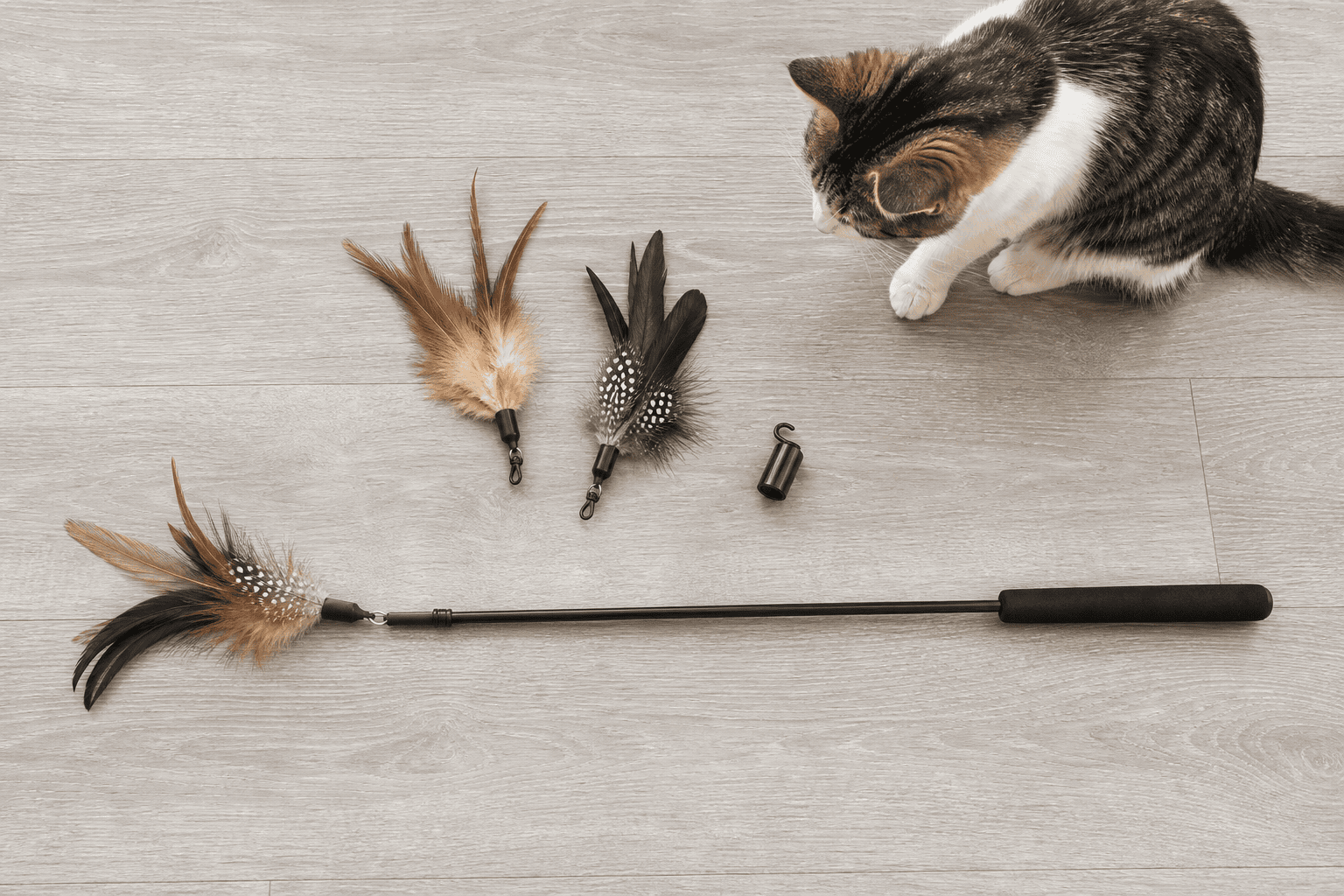 Feather wand cat toy laid out with spare refills and a storage hook
