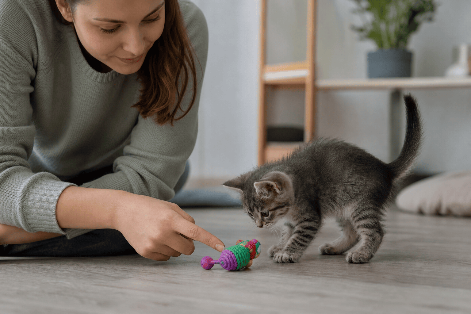 Owner redirecting a kitten from fingers to a chew toy