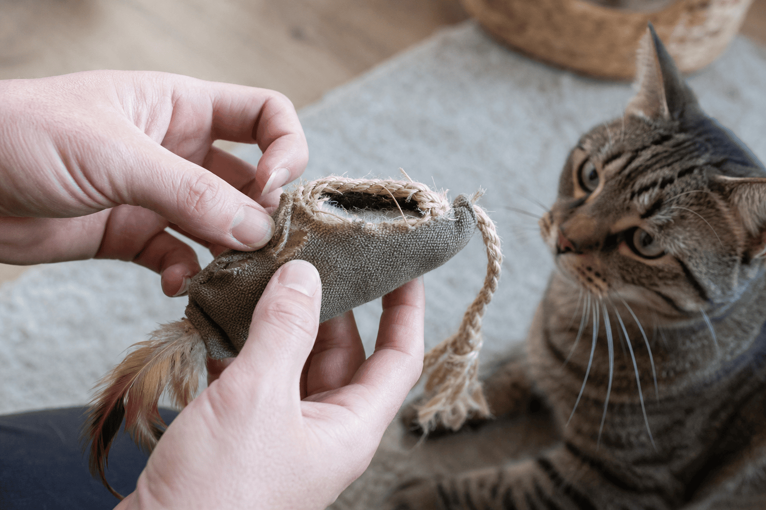 Hands checking a cat toy for loose seams after active play