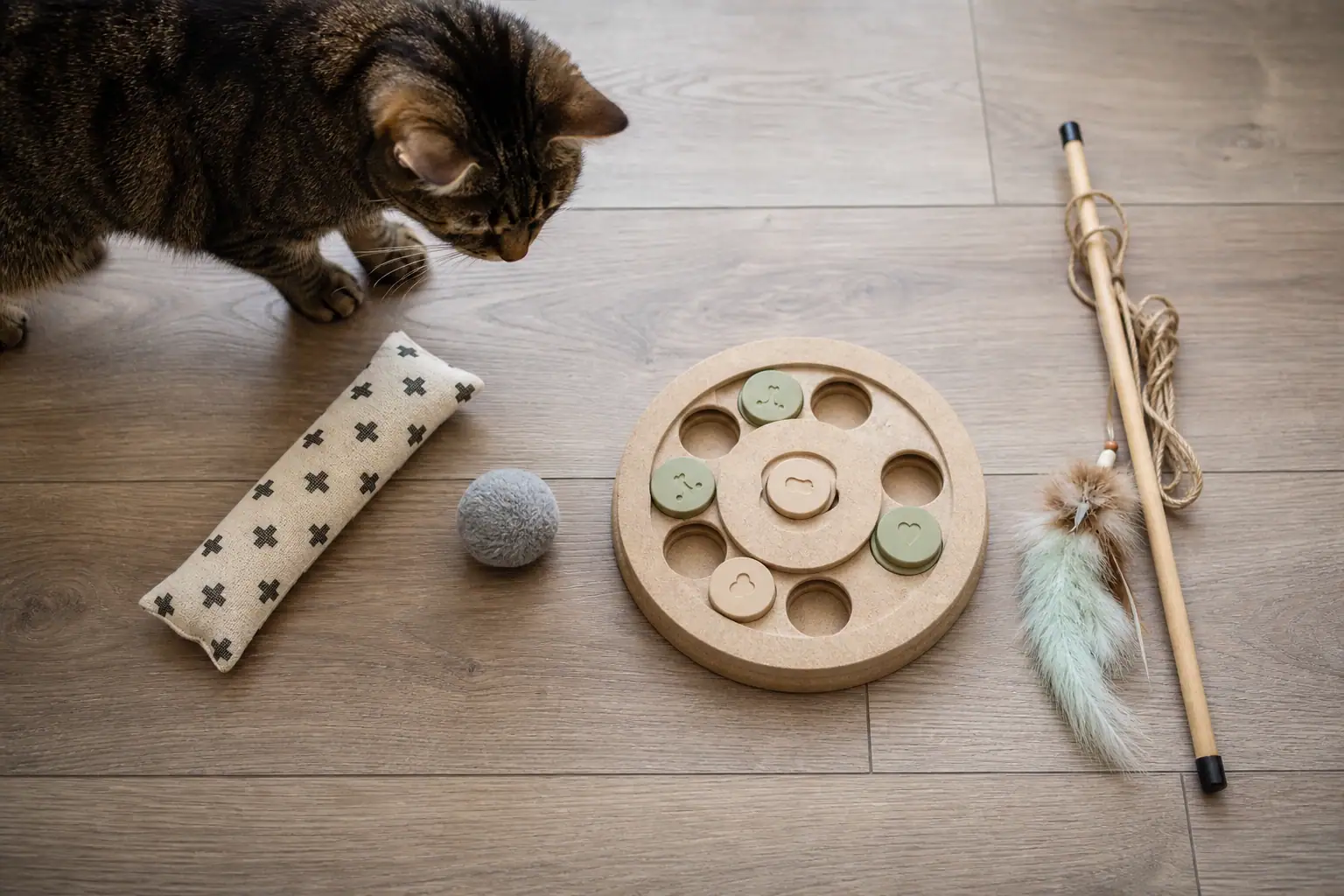 A neat rotation of cute cat toys chosen for different play styles