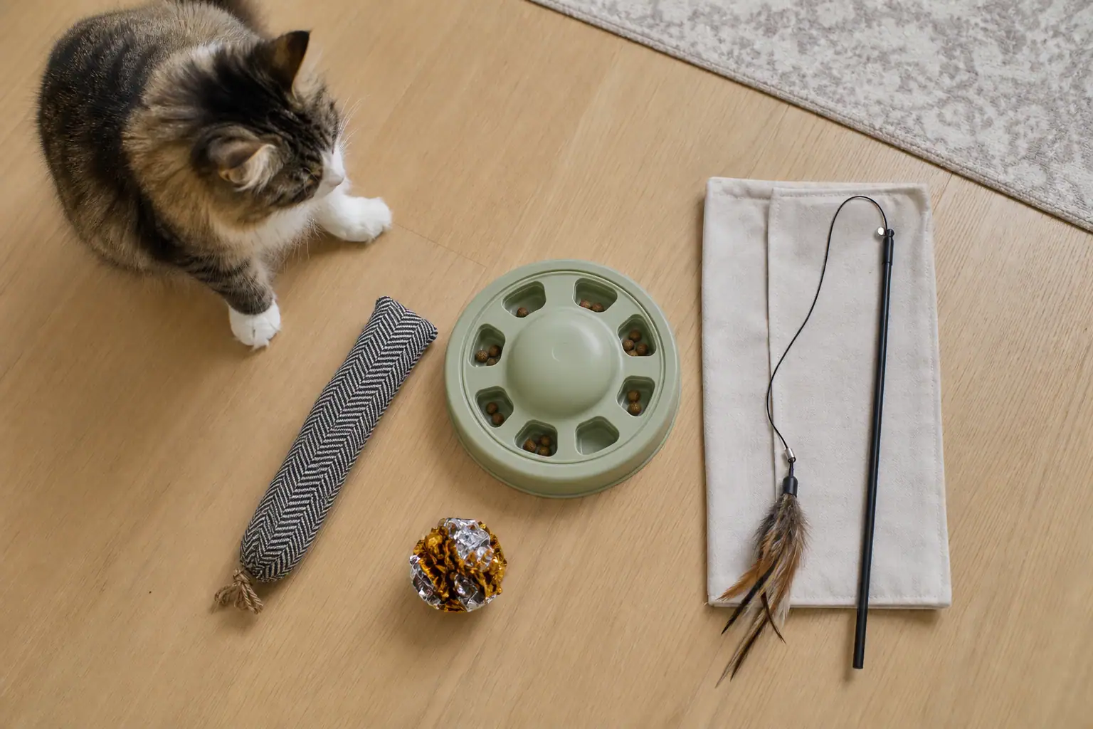A small set of cat toys arranged by chasing, kicking, pouncing, and foraging play styles