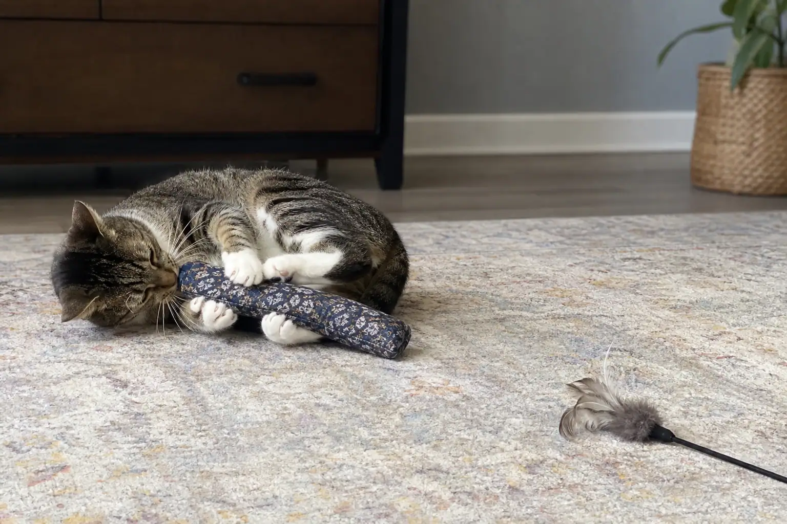 Cat wrestling a long kicker toy after a wand play session