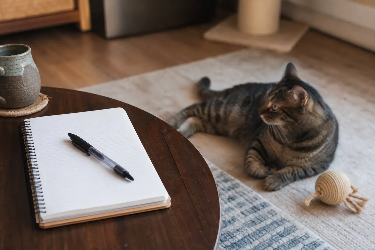 Notebook for tracking cat aggression triggers beside a calm cat