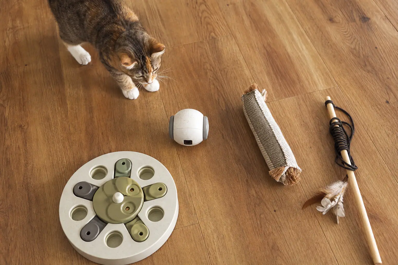 Automatic cat toy placed beside a kicker, wand, and puzzle feeder for toy rotation