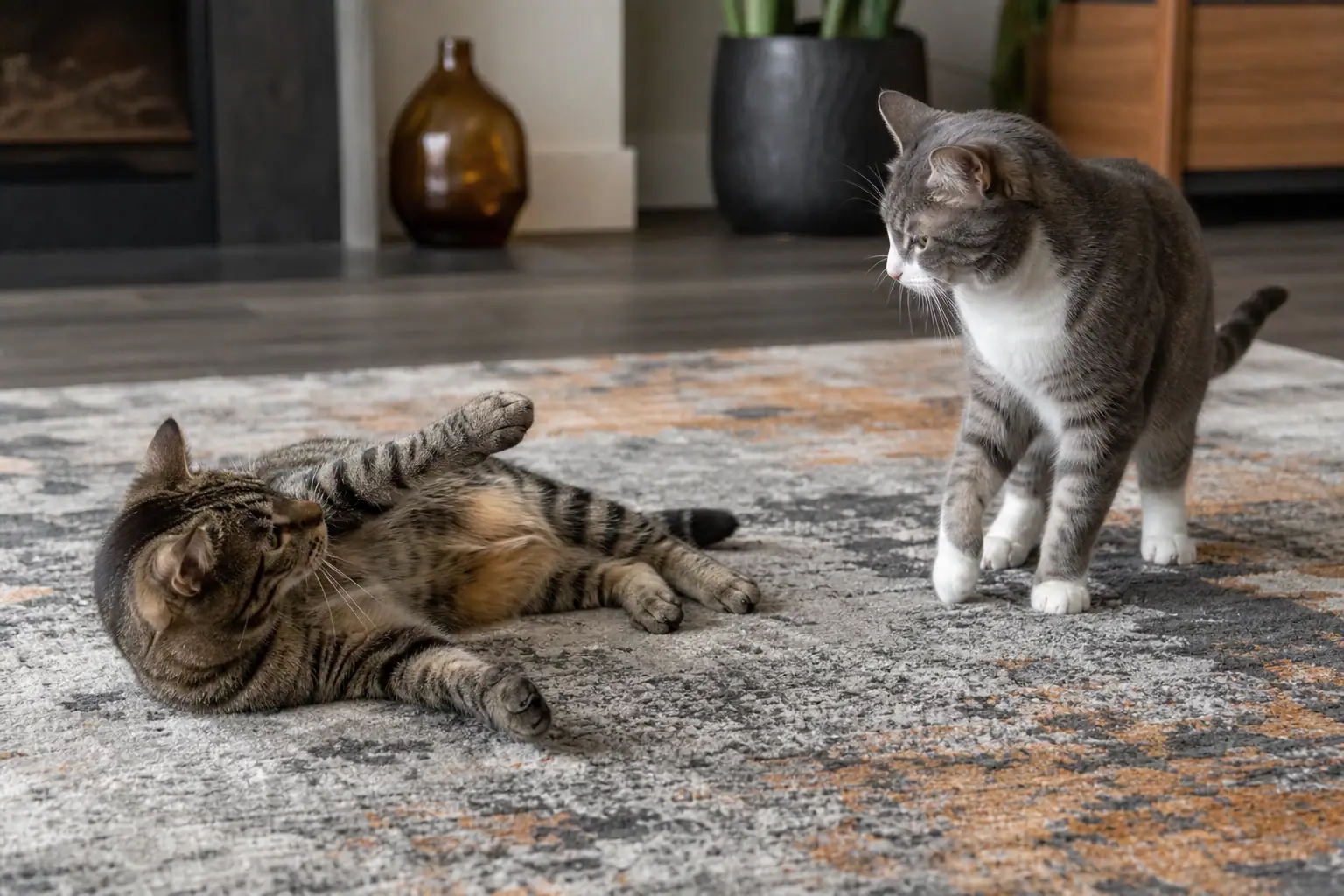 Two cats pausing during mutual rough play with relaxed body language
