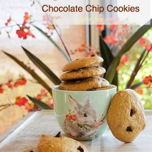 Grain-Free Almond Butter Chocolate Chip Cookies