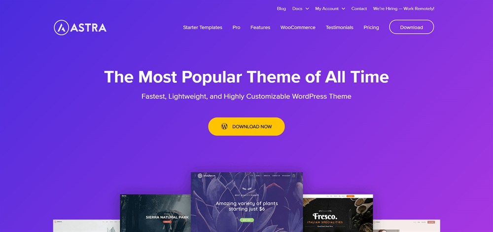 astra wordpress themes