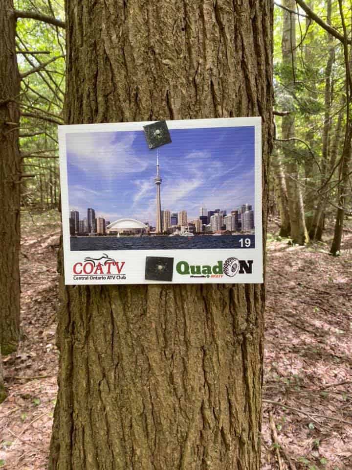cdn
