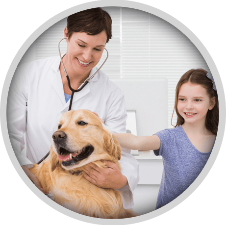 Affordable Health Care