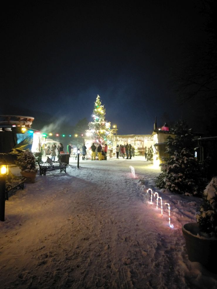 Weihnachtsbaum im Foto: FORT FUN Abenteuerland