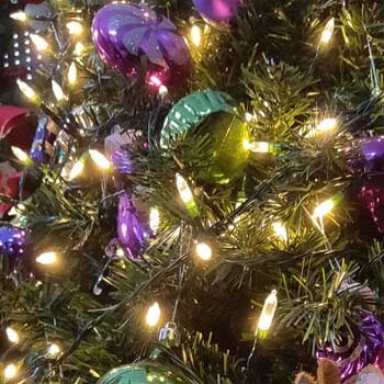 5: MAGOTAN Christmas Lights Outdoor String Lights