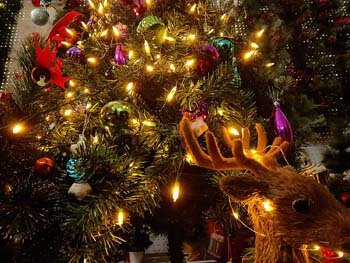 3: ASENEK Christmas Light