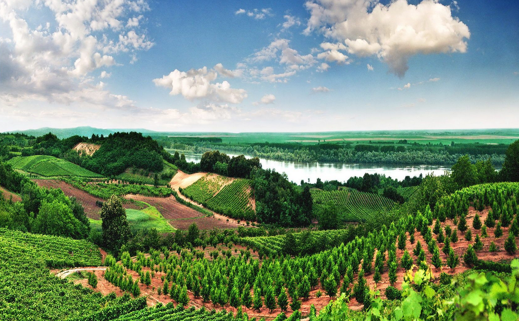Vojvodina