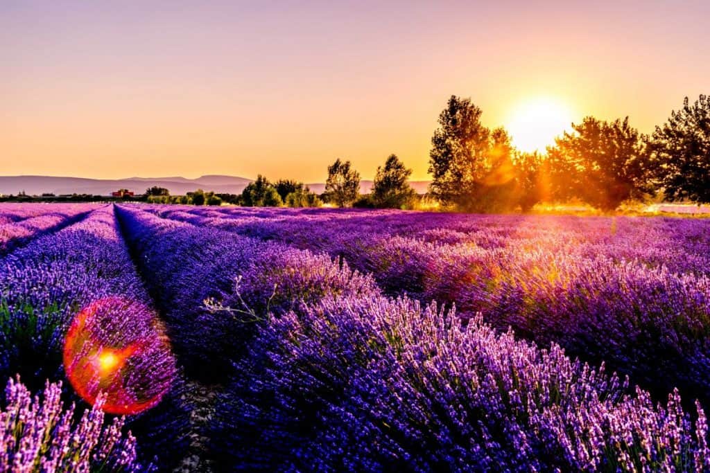 10 Countries In Europe You Must See at Least Once In A Lifetime - France