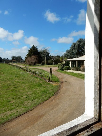 Visita à vinícola Viñedo de los Vientos Visita à vinícola Viñedo de los Vientos