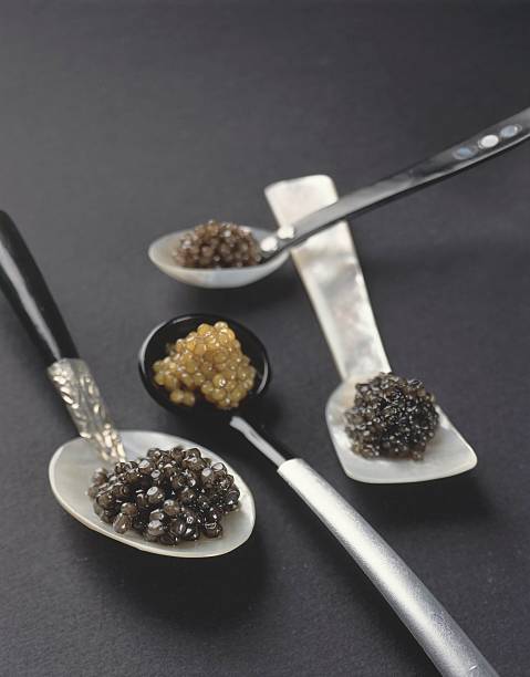 Caviar Kaspia chega a São Paulo Caviar Kaspia chega a São Paulo