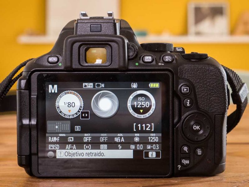 Nikon Webcam Utility sur D5600 Nikon Webcam Utility