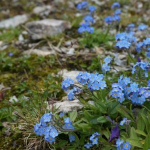 DSC06852 Trailrunning Tirol