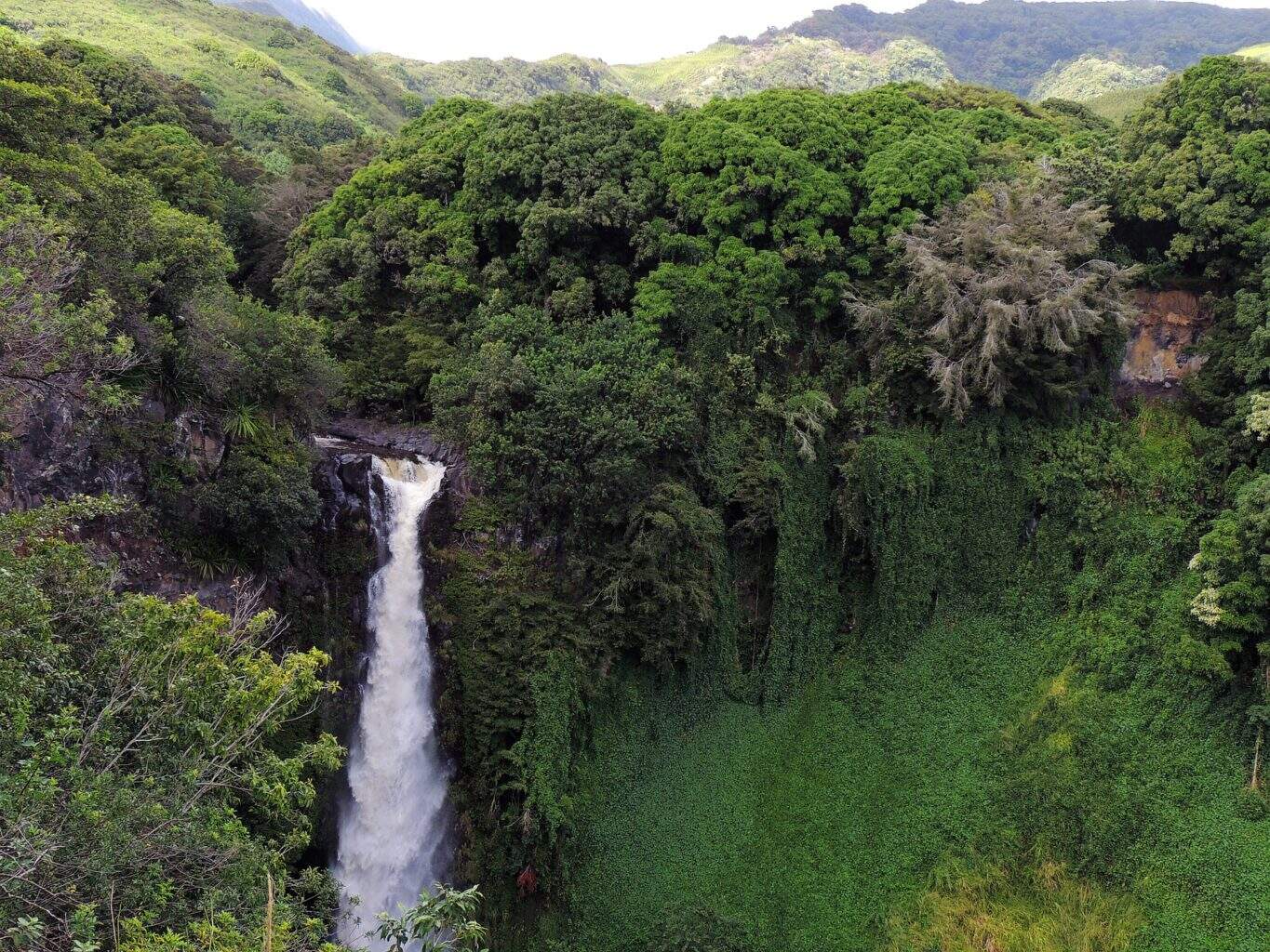 Wasserfall auf Big Island