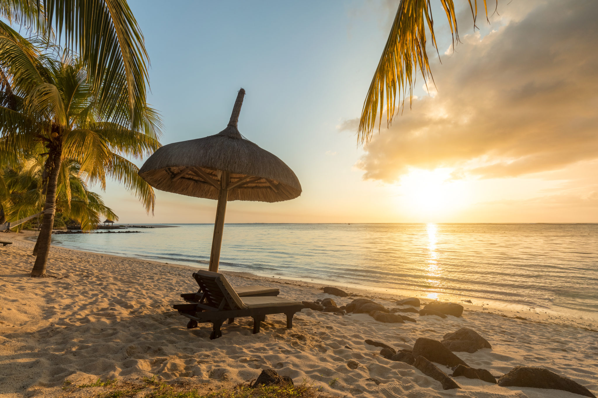 Paradisiac and Desert Island white sand Beach Palm tree at Sunset