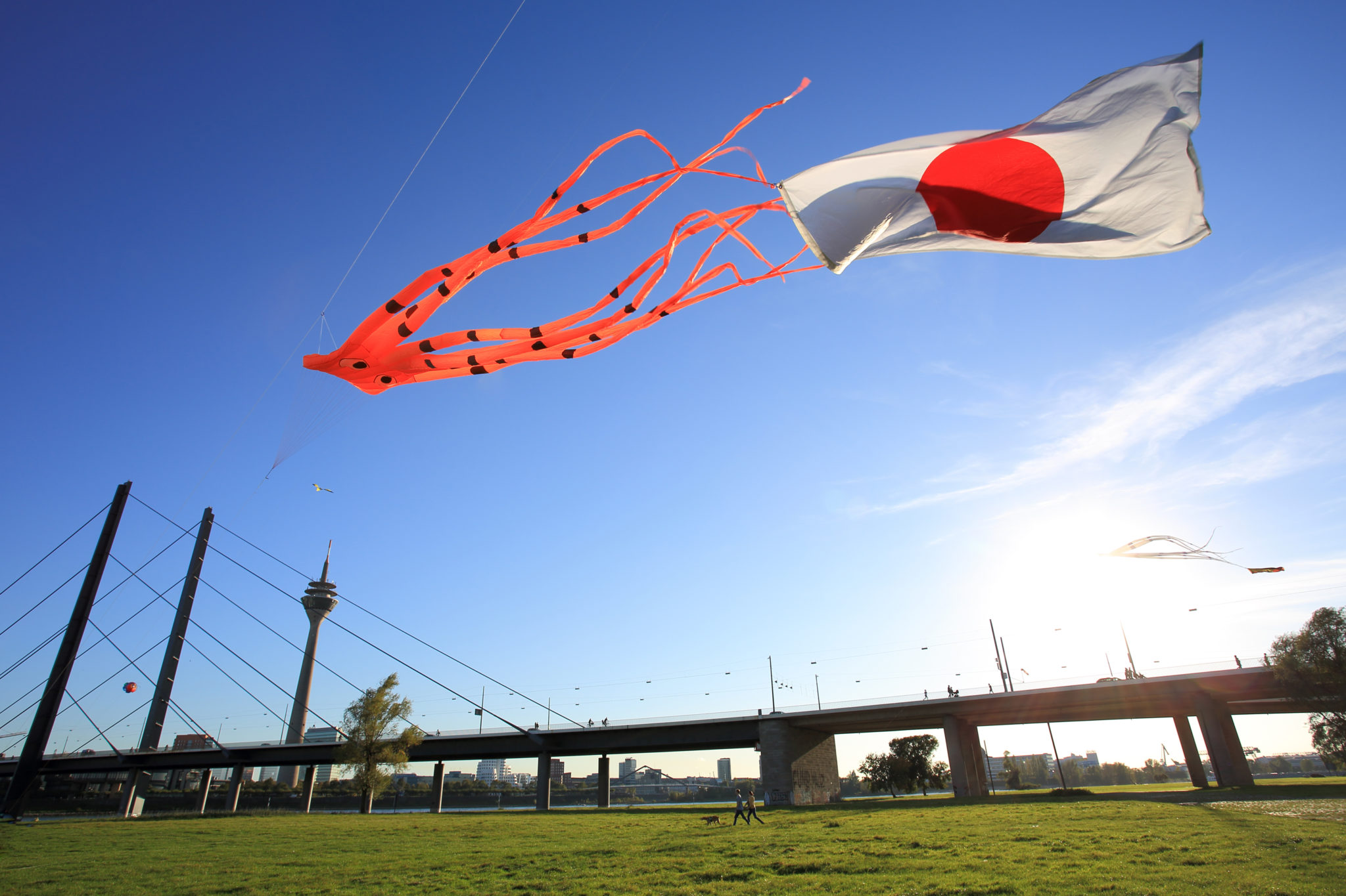 Japan am Rhein