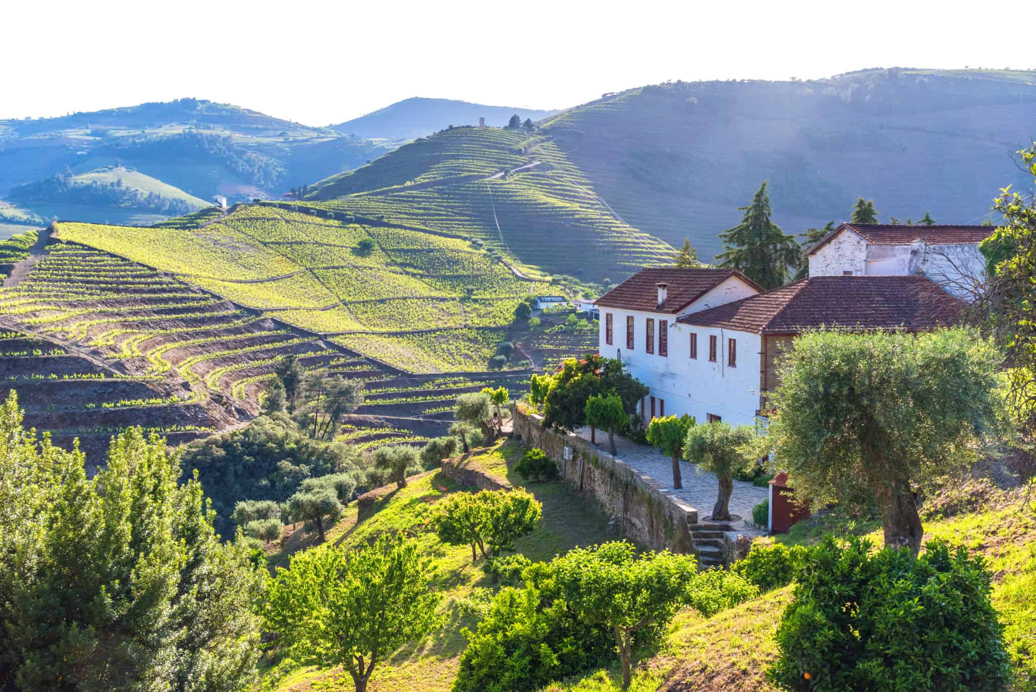 Weinreise ins Douro Tal im Norden Portugals