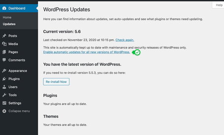 View of the WordPress Updates tab where users can opt-in to automatic version updates.