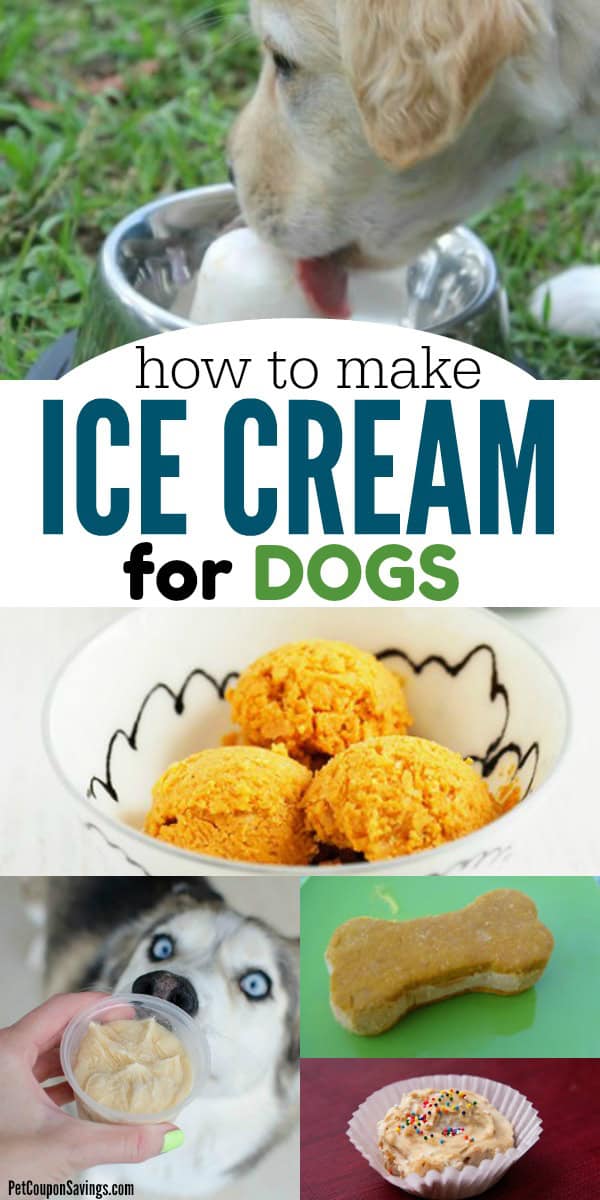 10 Dog Ice Cream Recipes to Keep Your Dog Cool Pet Coupon Savings