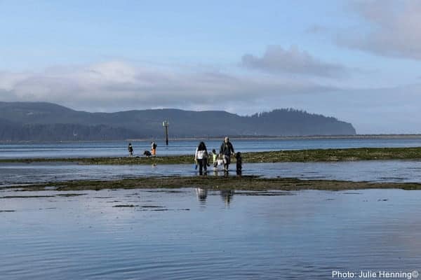 Clamming in girabaldi on the oregon coast