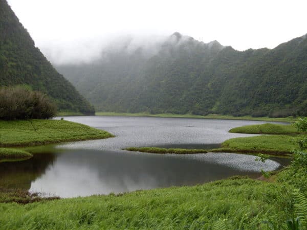 The hidden lake in a green valley in grand etang national park, grenada
