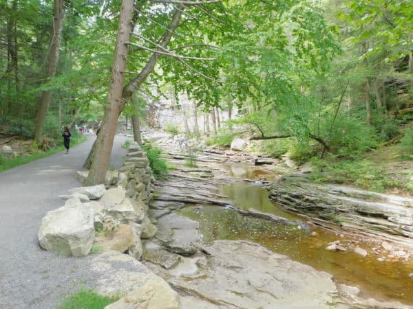 One of the many wide,trails for walking, biking and jogging at minnewaska state park. This one follows a creek.