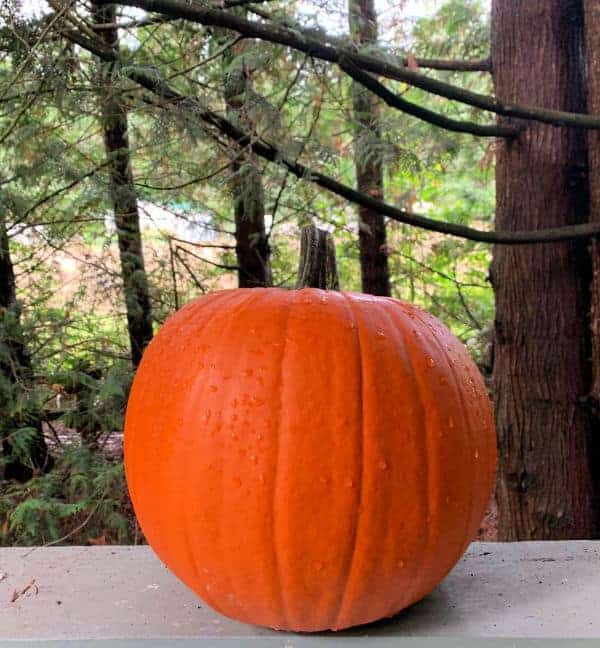 pumpkins sitting on a railing