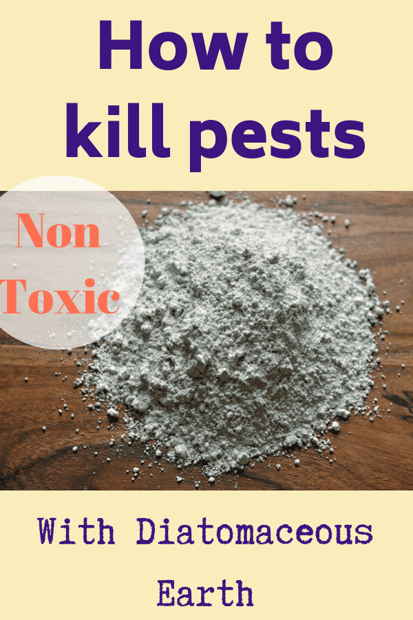 how to kill pests with diatomaceous earth graphic