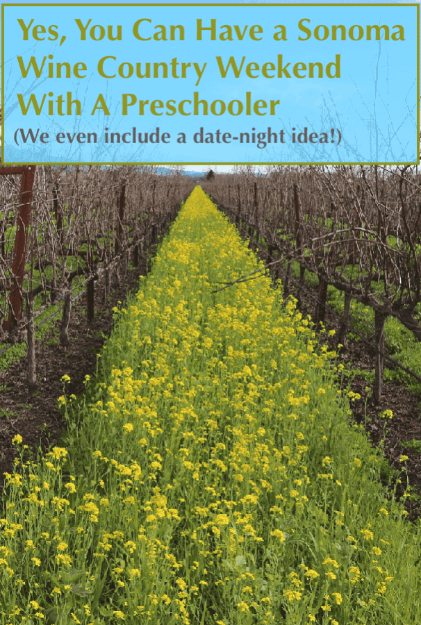 Sonoma is an easy weekend away even with a small child along. You can find lodging, restaurants, activities and even wineries where kids are welcome. And maybe have a date night! #sonoma #california #vacation #kids #family #thingstodo #wheretostay