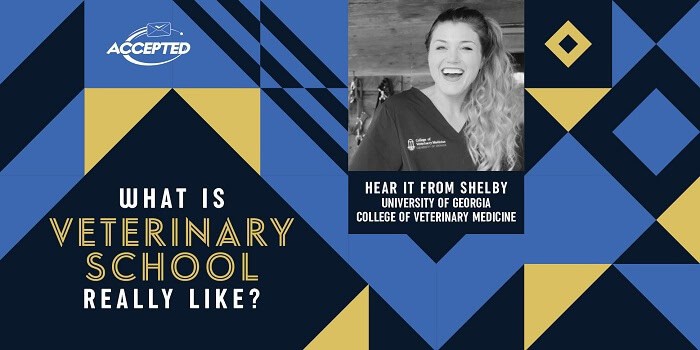 What’s on YOUR Bucket List? A Veterinary Student Shares How She’s Seized Every Opportunity to Hit Her Goals