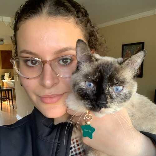 Isabelle Suero app cat Isabelle Suero app cat
