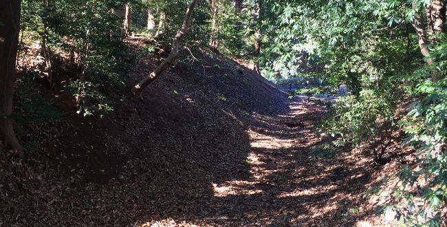 真田信繁と大河ドラマ 真田丸 真田幸村とは その実像は 真田家