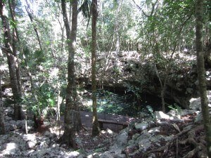A mexican cenote on the grounds of grand bahia principe