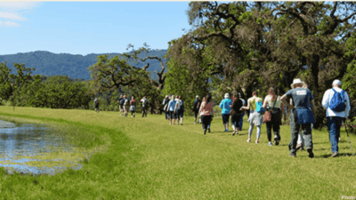 Hiking the historic kunde estate in sonoma